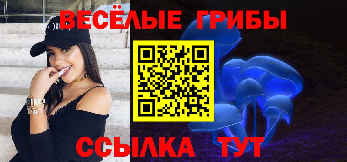 что такое   Вход с VPN  Минеральные Воды  Псилоцибиновые грибы Psilocybine cubensis 