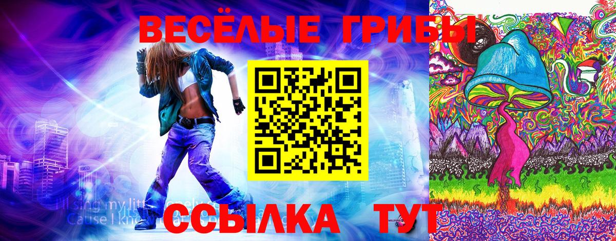 Галлюциногенные грибы мицелий Минеральные Воды