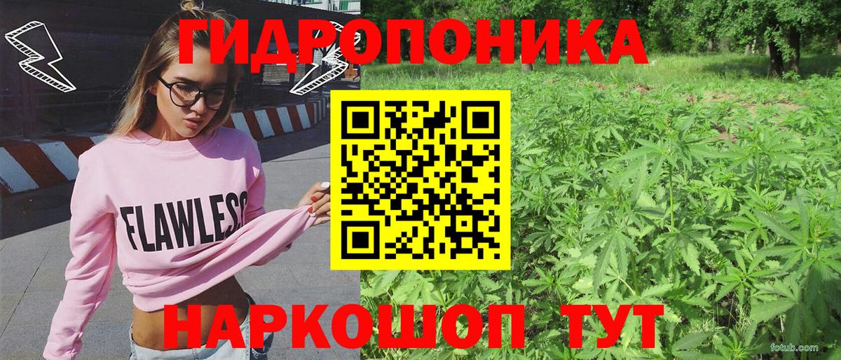 Марихуана конопля  Бошки Шишки SATIVA & INDICA  Вход с VPN  Минеральные Воды  Марихуана SATIVA & INDICA 